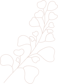 shape2